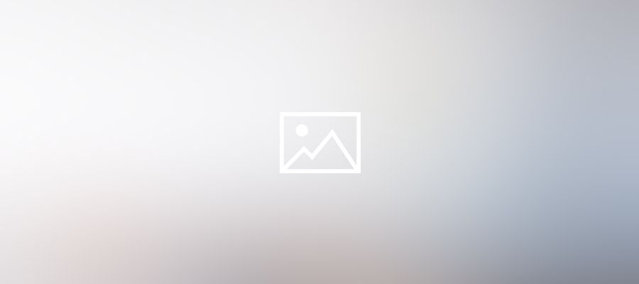 Professional Action Learning Coach